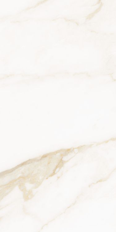 Classy Warm White Matte 12 x 24